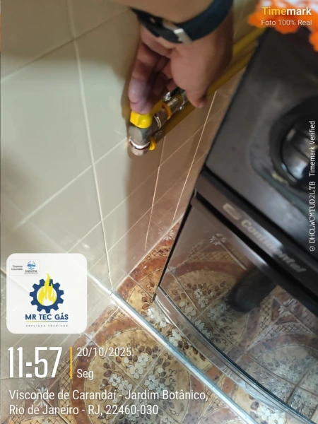Conversão de fogão para gás natural na Zona Sul